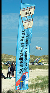 scandinavian-kites